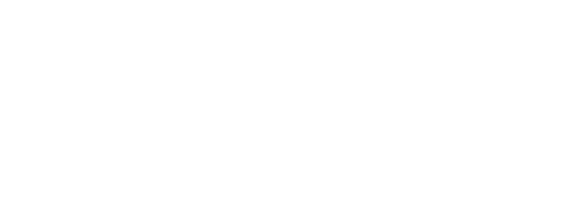 Insycle Partner